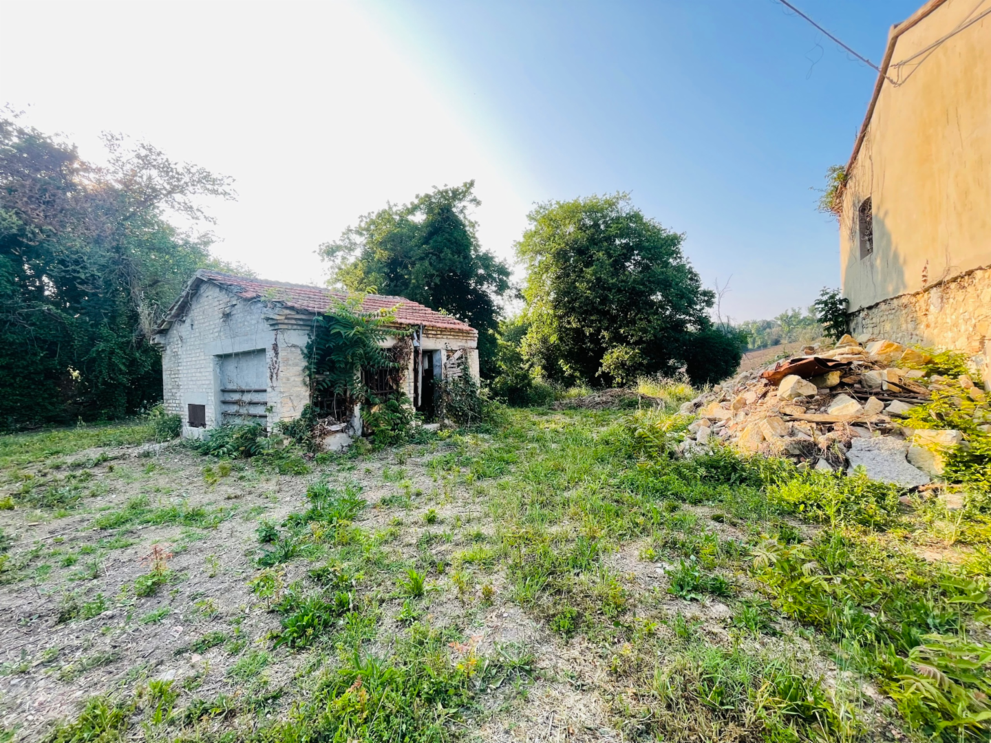 immagine annuncio 5 di 10