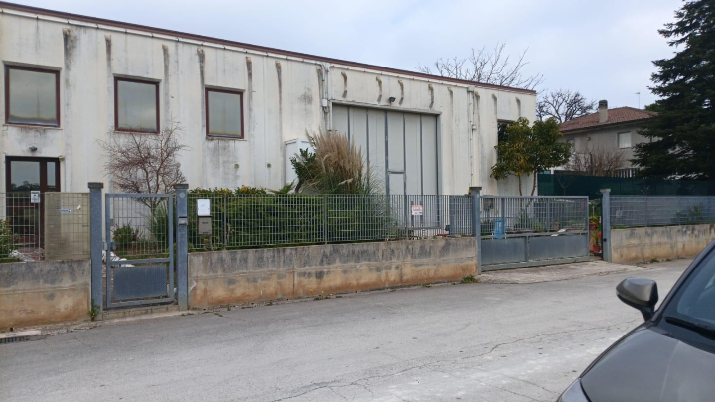 immagine annuncio 1 di 10