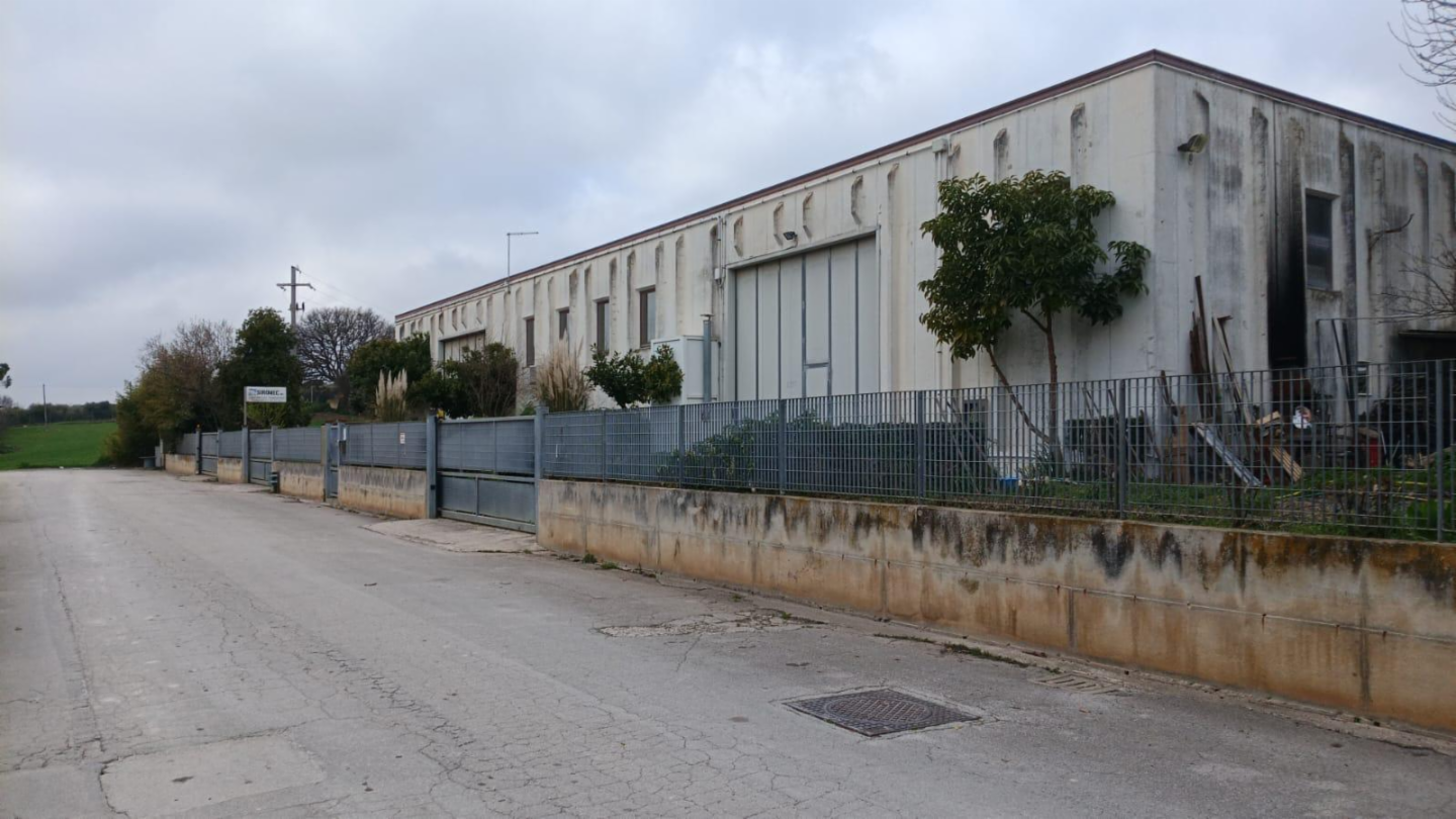 immagine annuncio 2 di 10