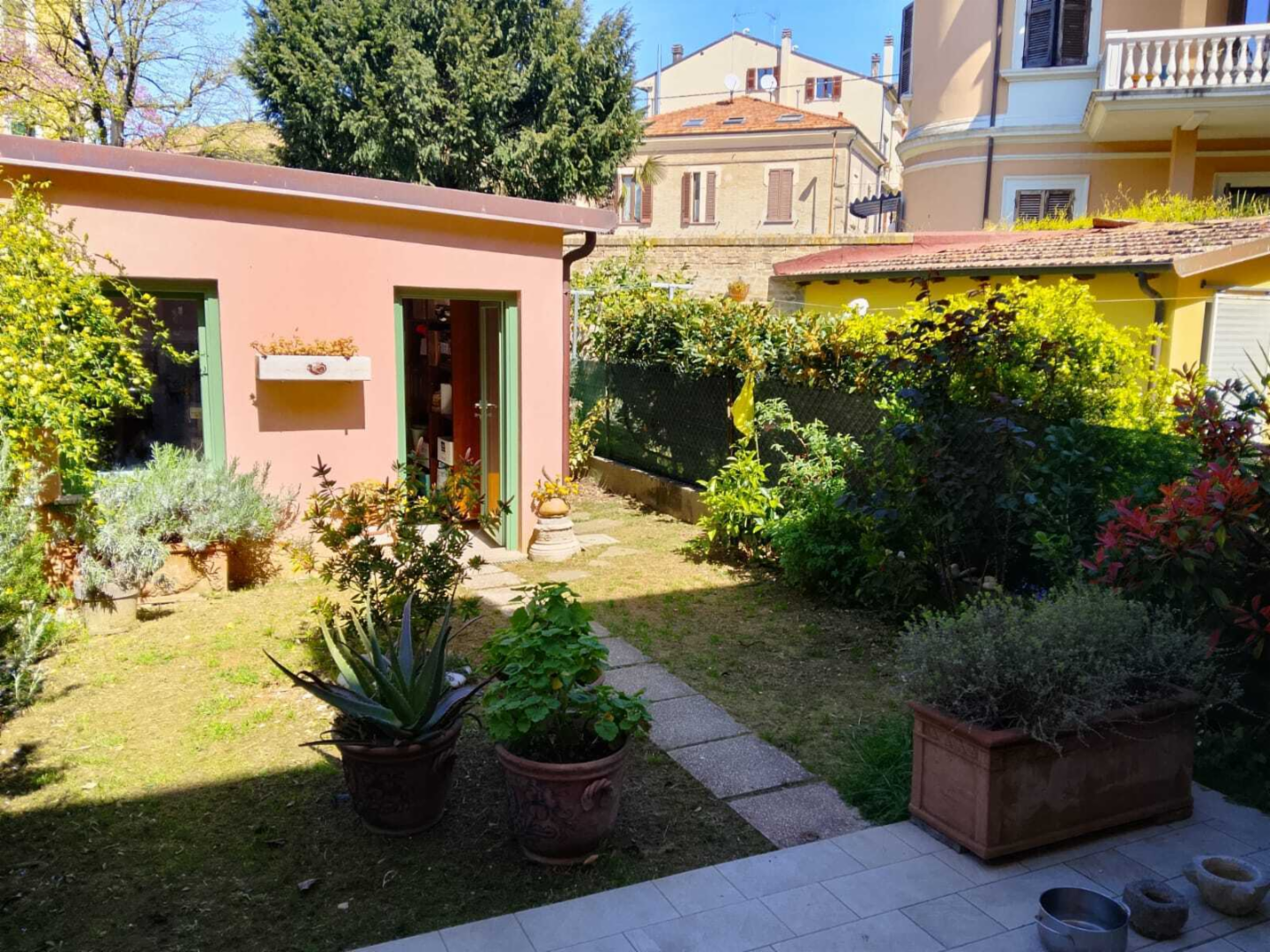 immagine annuncio 1 di 10