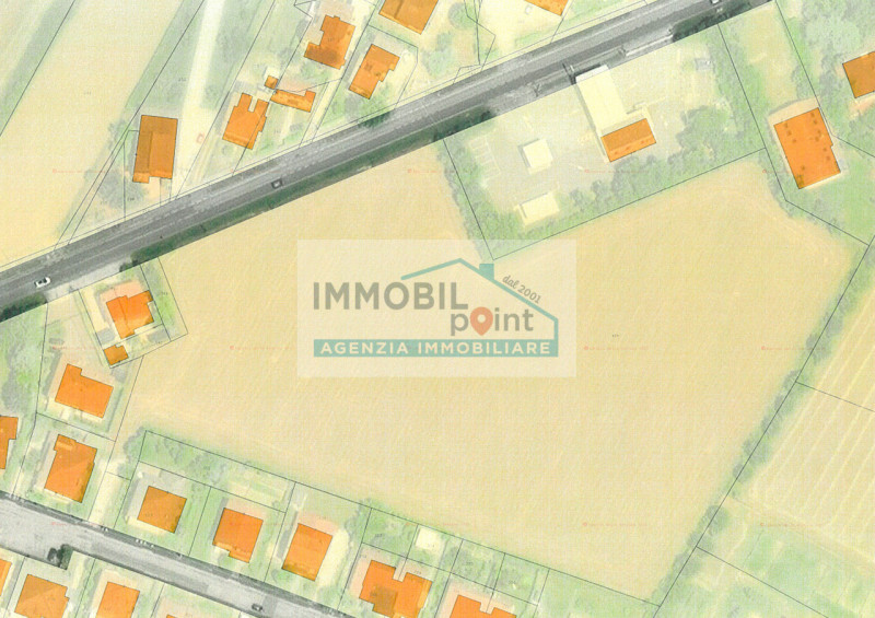 immagine annuncio 2 di 6