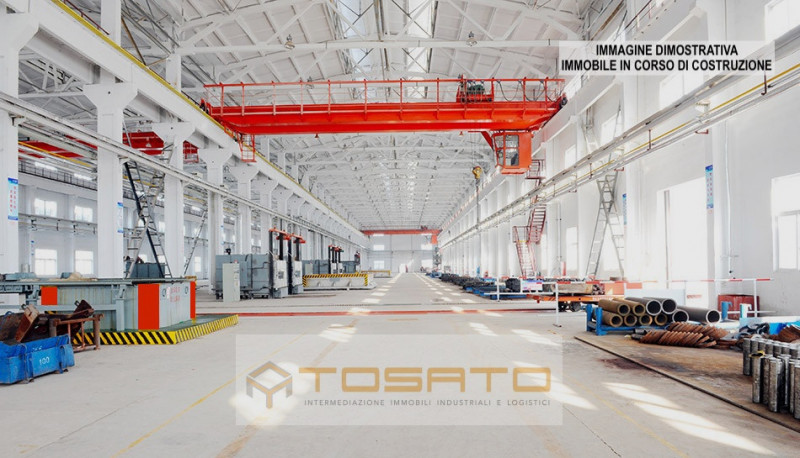 immagine annuncio 6 di 9