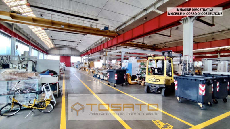 immagine annuncio 8 di 9