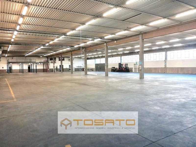 immagine annuncio 5 di 7