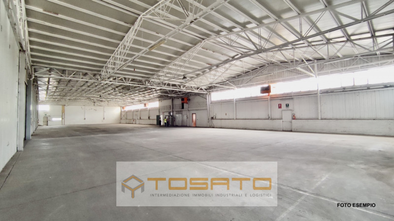 immagine annuncio 2 di 6