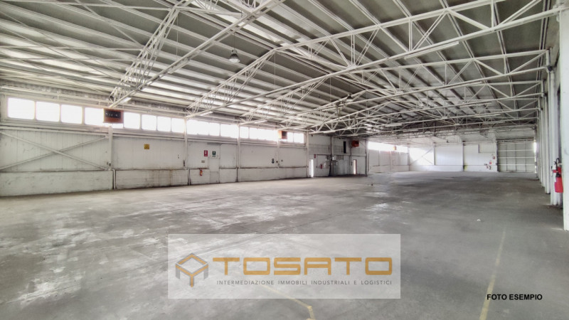 immagine annuncio 5 di 6