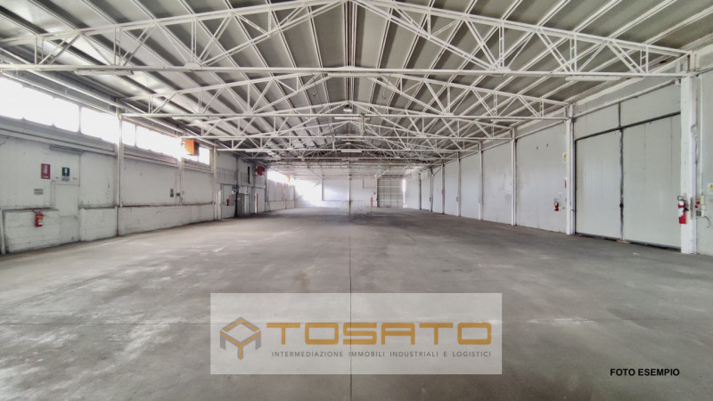 immagine annuncio 3 di 6