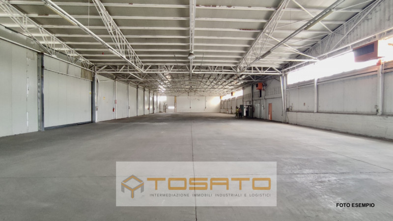 immagine annuncio 6 di 8