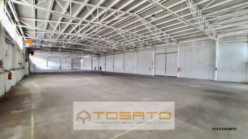 immagine annuncio 7 di 8