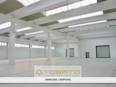 immagine annuncio 5 di 6