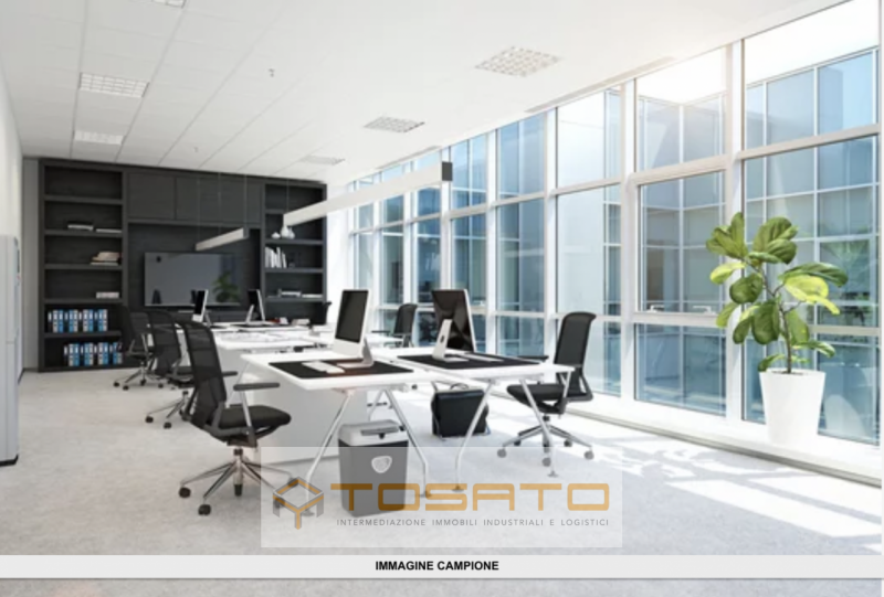 immagine annuncio 5 di 6