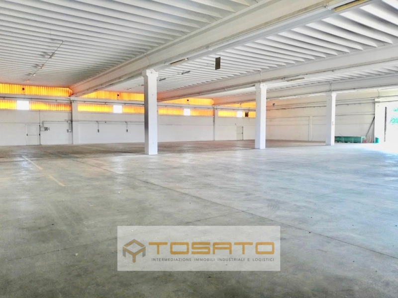 immagine annuncio 5 di 6