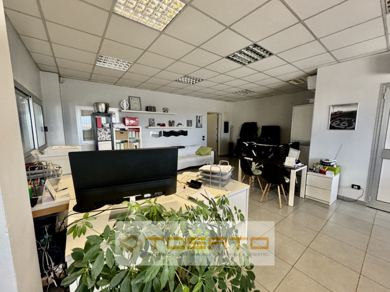 immagine annuncio 5 di 8