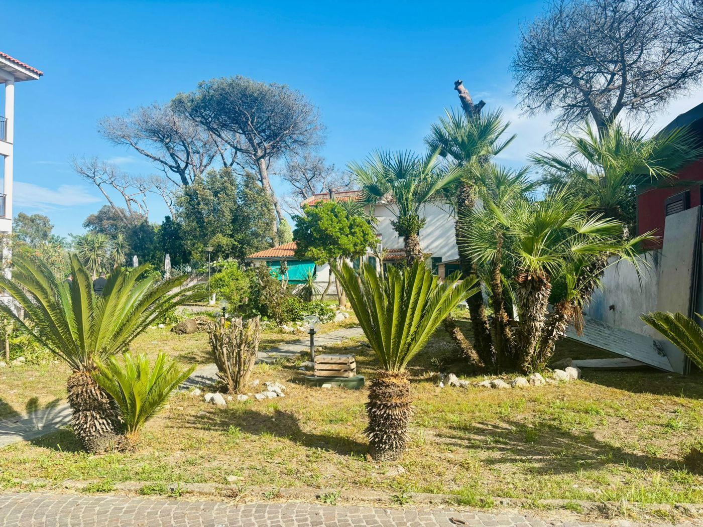 immagine annuncio 3 di 10
