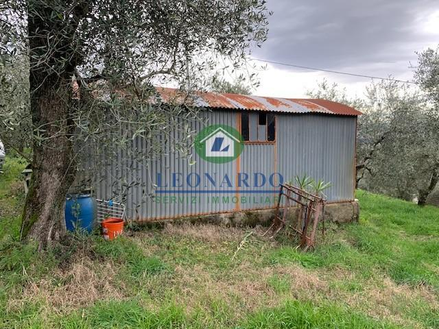 immagine annuncio 4 di 9