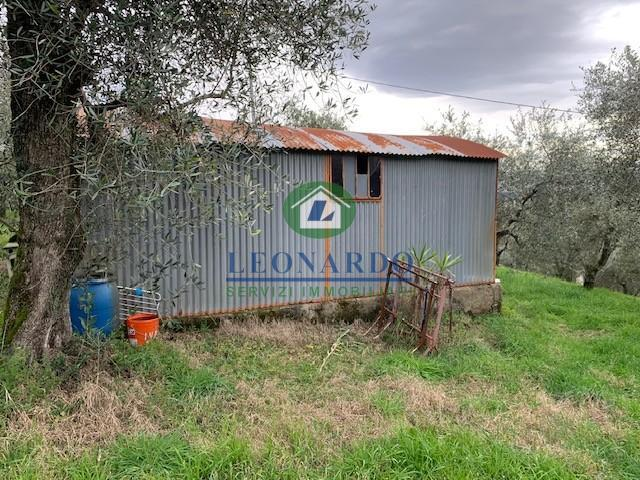 immagine annuncio 3 di 9
