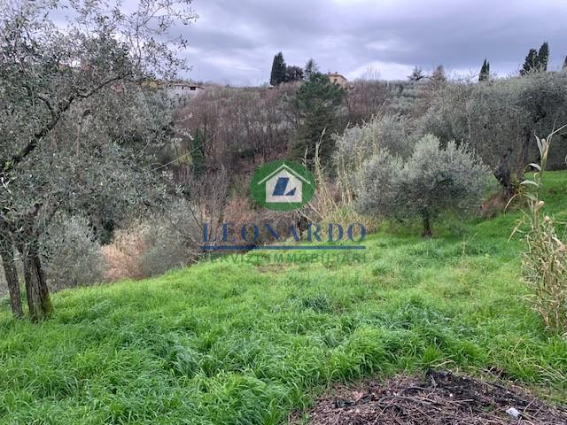 immagine annuncio 6 di 9