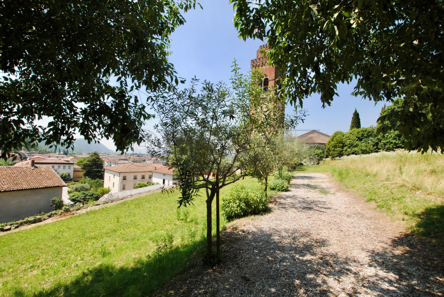 immagine annuncio 2 di 7