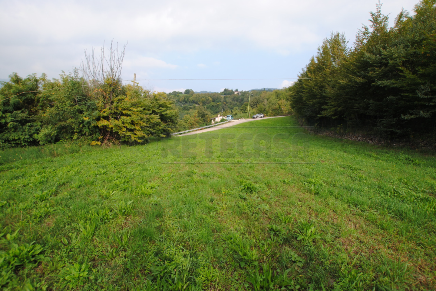 immagine annuncio 4 di 9