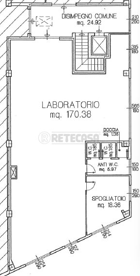 immagine annuncio 4 di 7