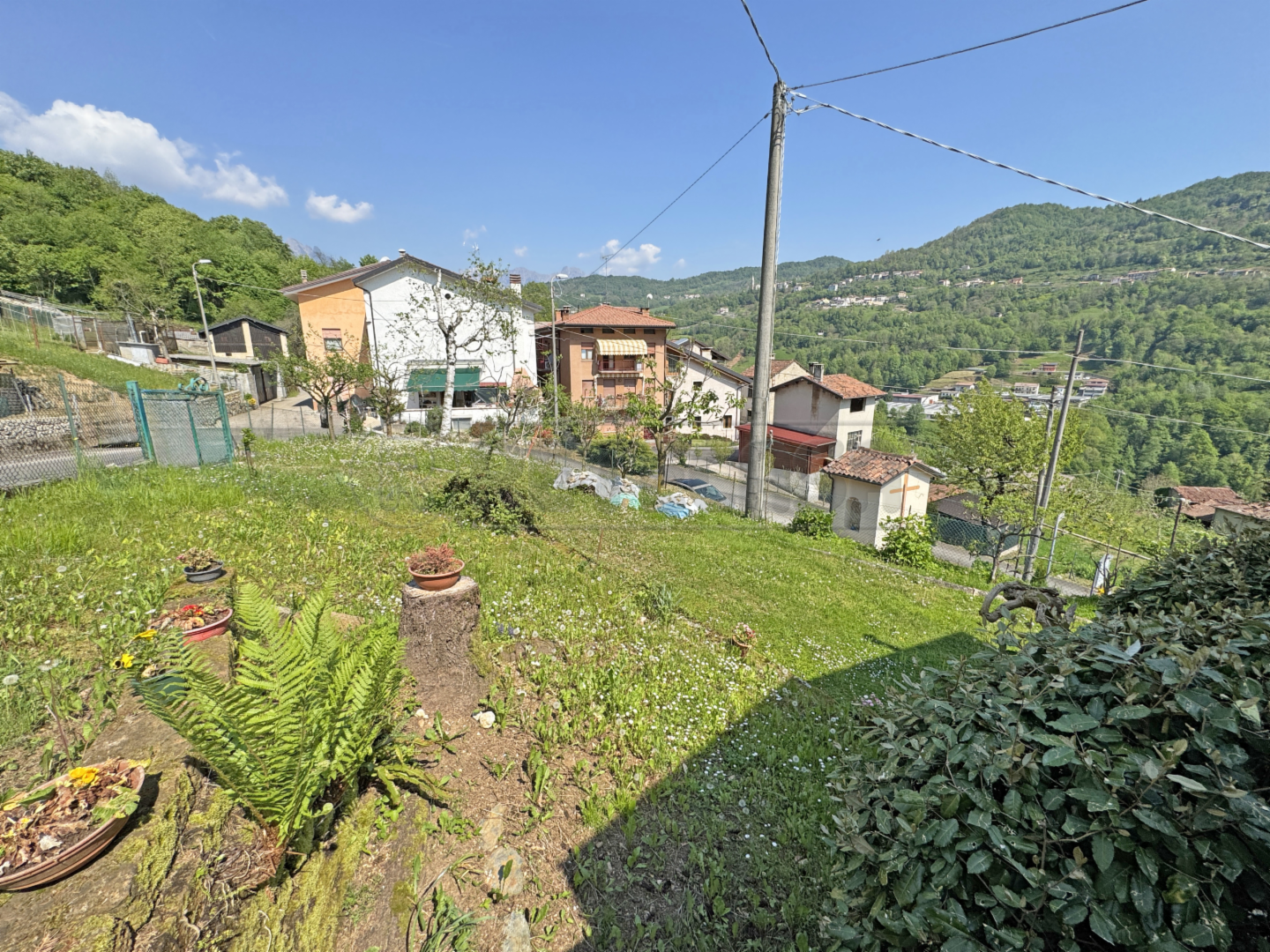 immagine annuncio 2 di 7