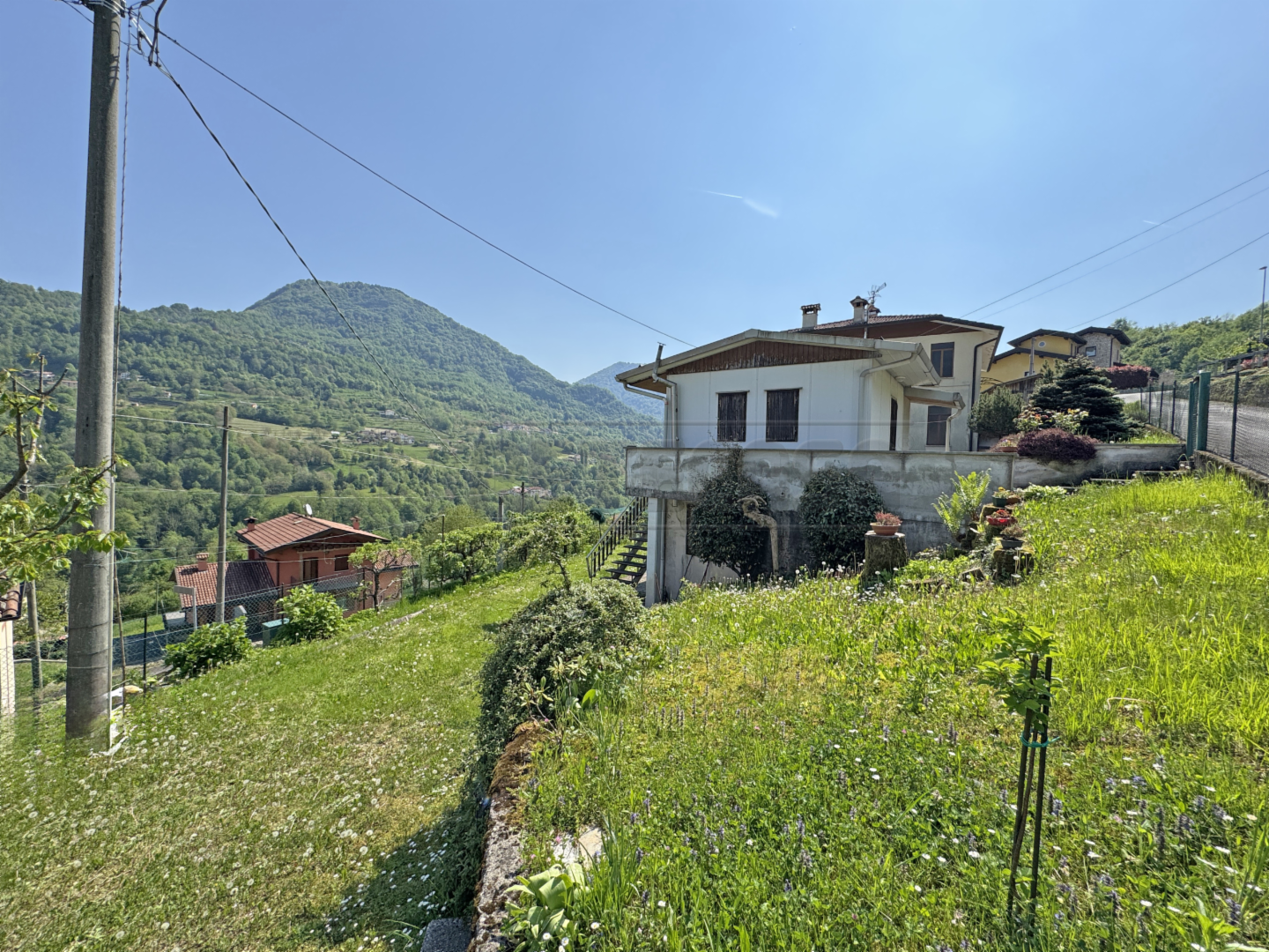 immagine annuncio 4 di 7