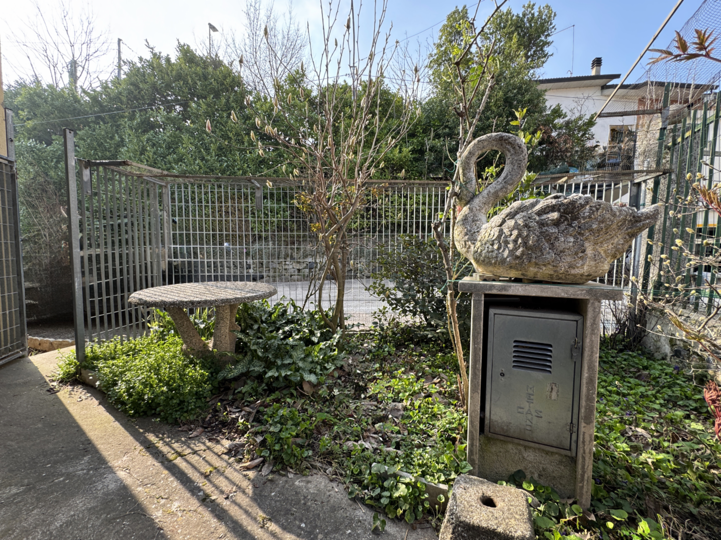 immagine annuncio 2 di 10