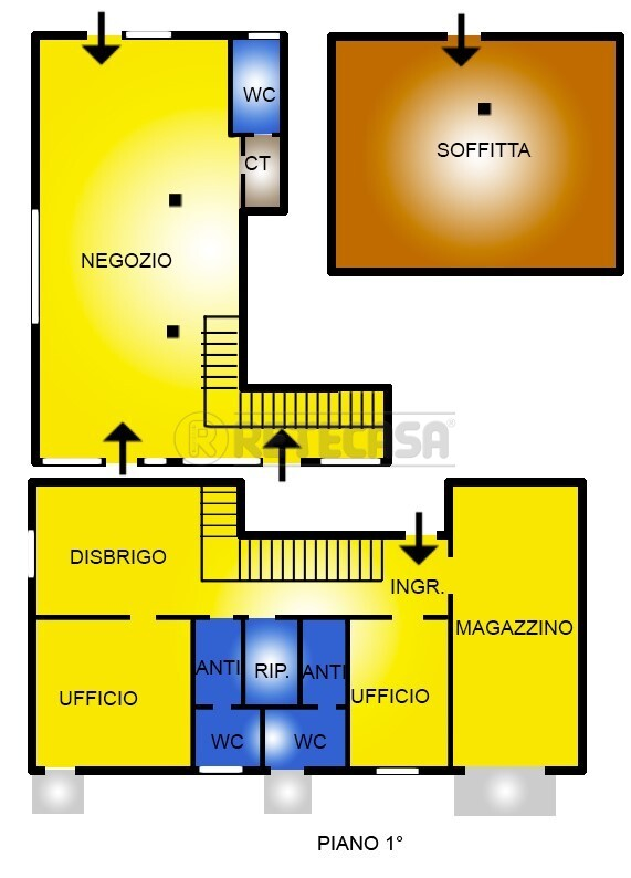 immagine annuncio 5 di 10