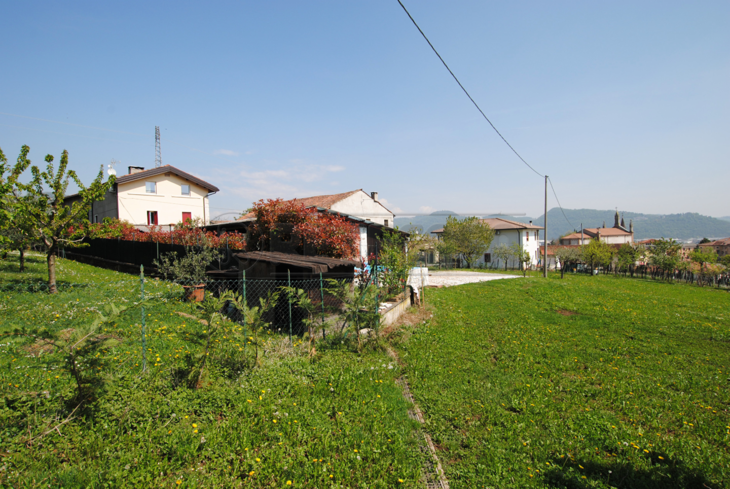 immagine annuncio 6 di 7