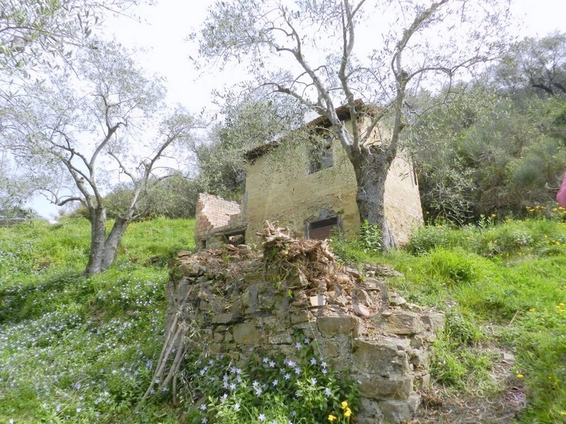 immagine annuncio 7 di 8
