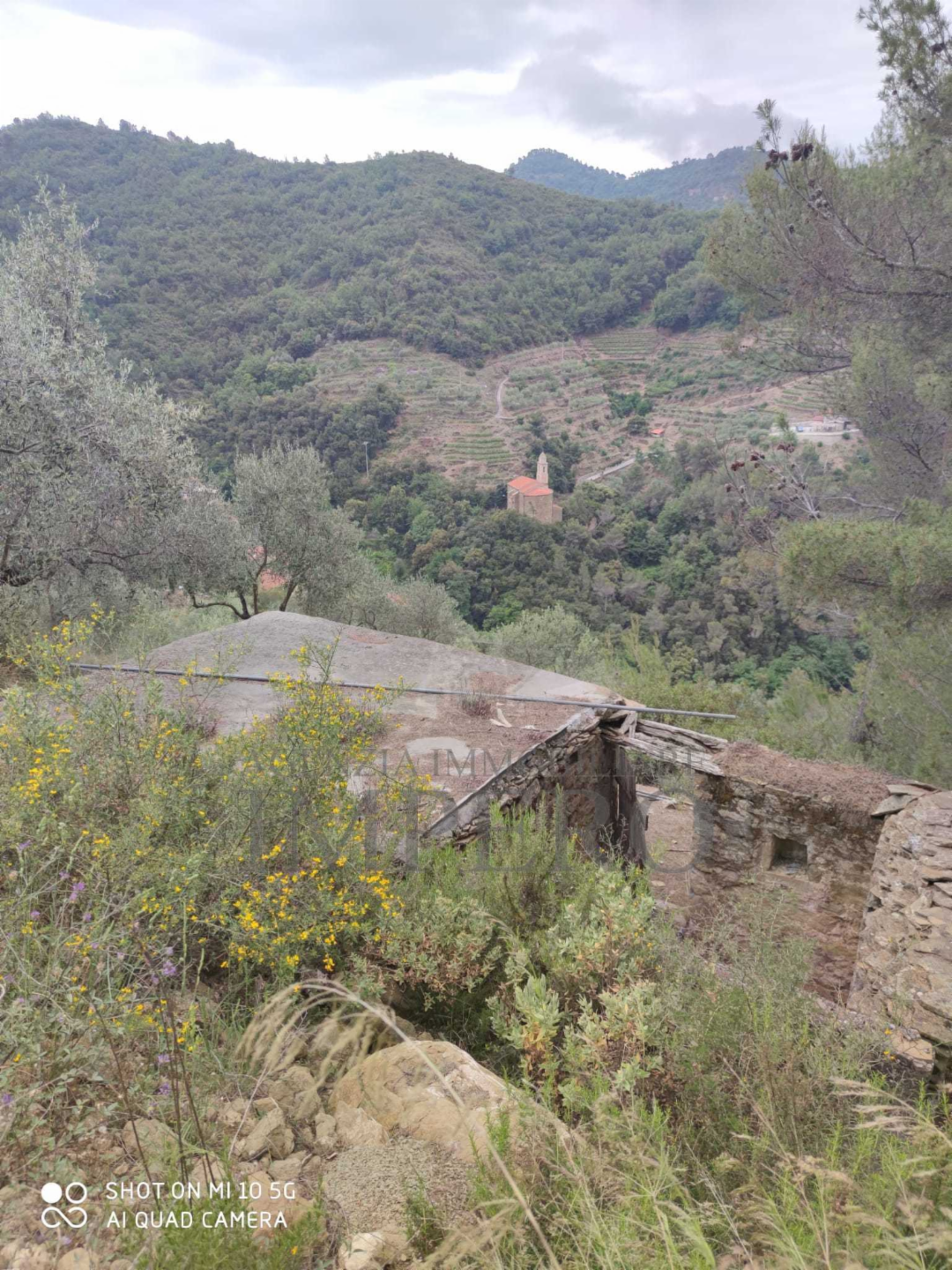 immagine annuncio 4 di 8