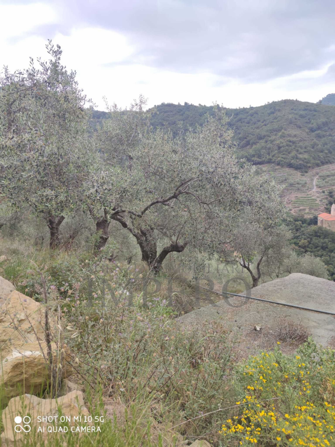 immagine annuncio 6 di 8