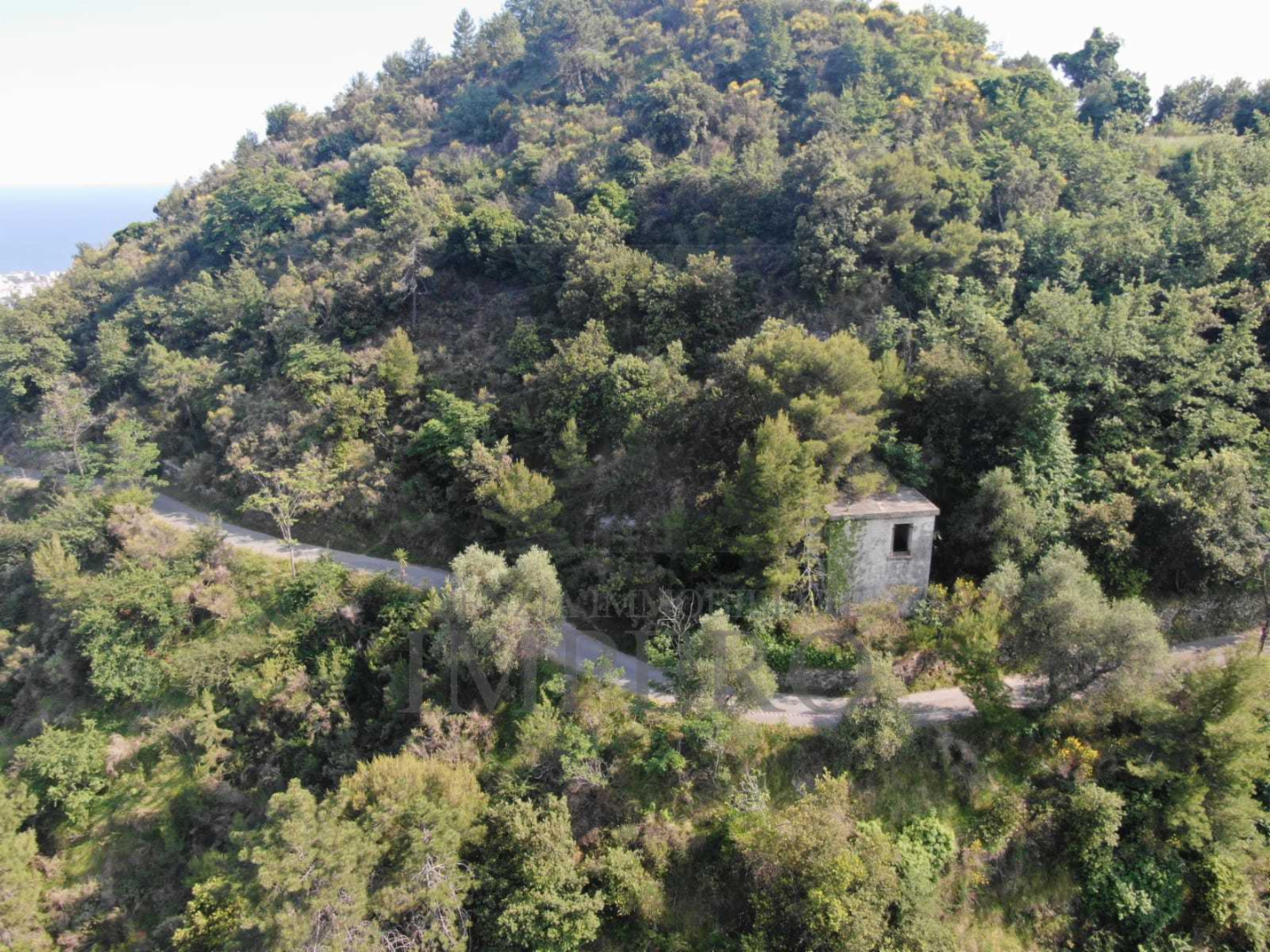immagine annuncio 3 di 6