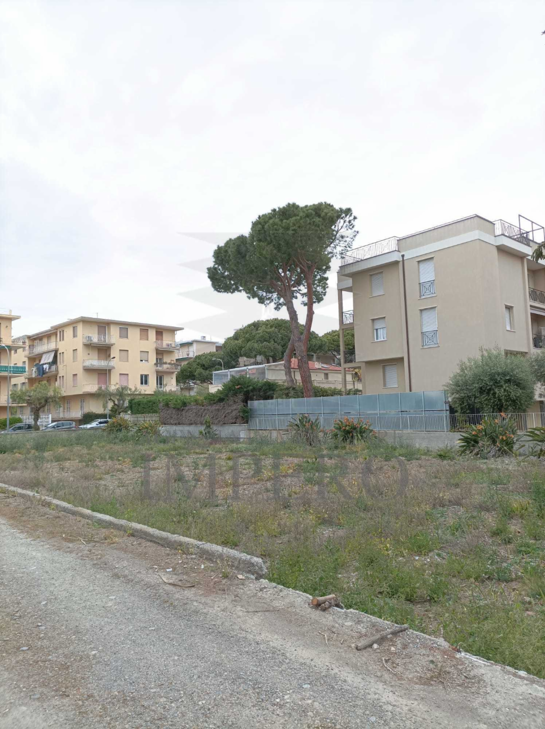 immagine annuncio 6 di 9