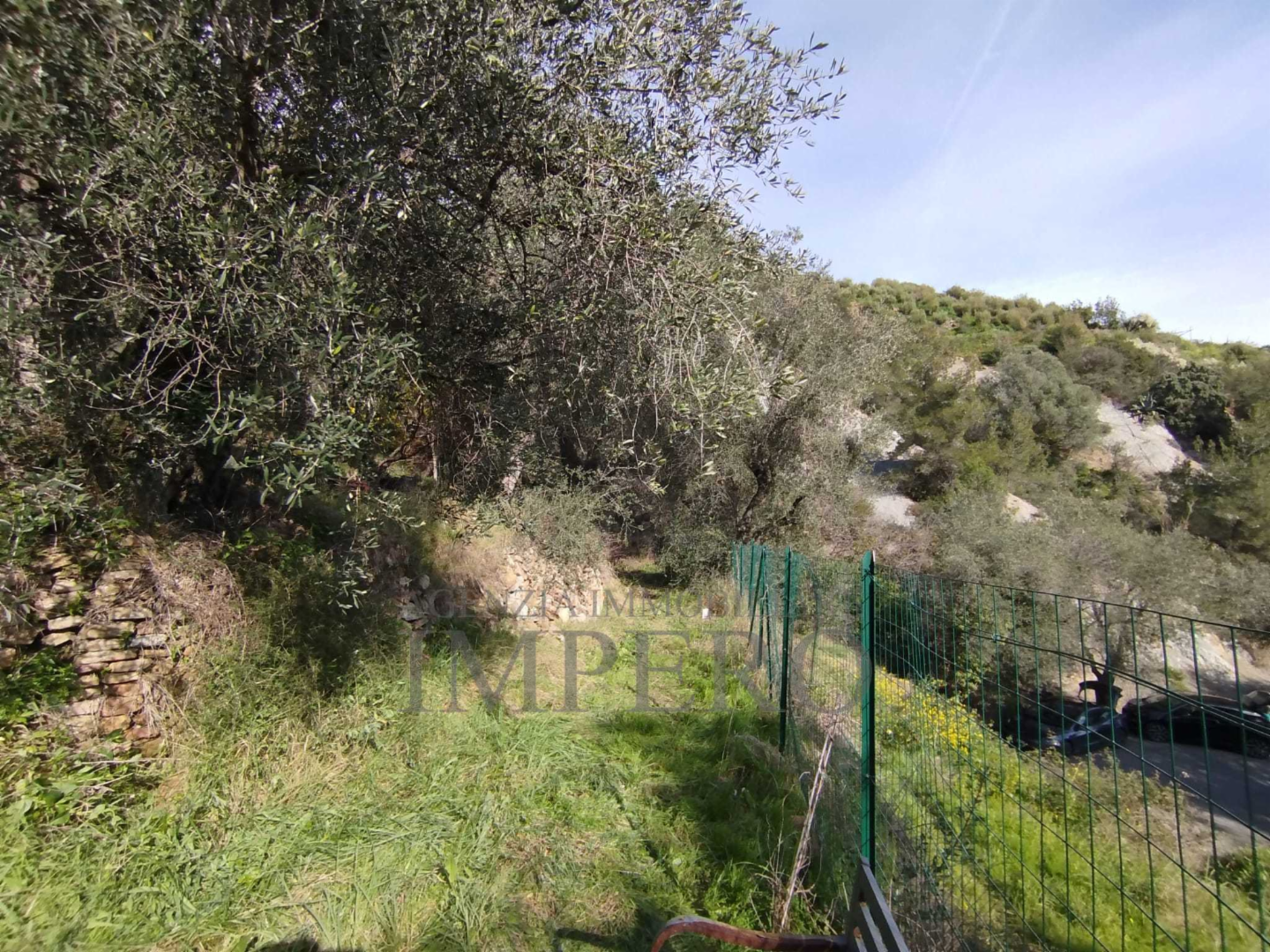 immagine annuncio 2 di 8