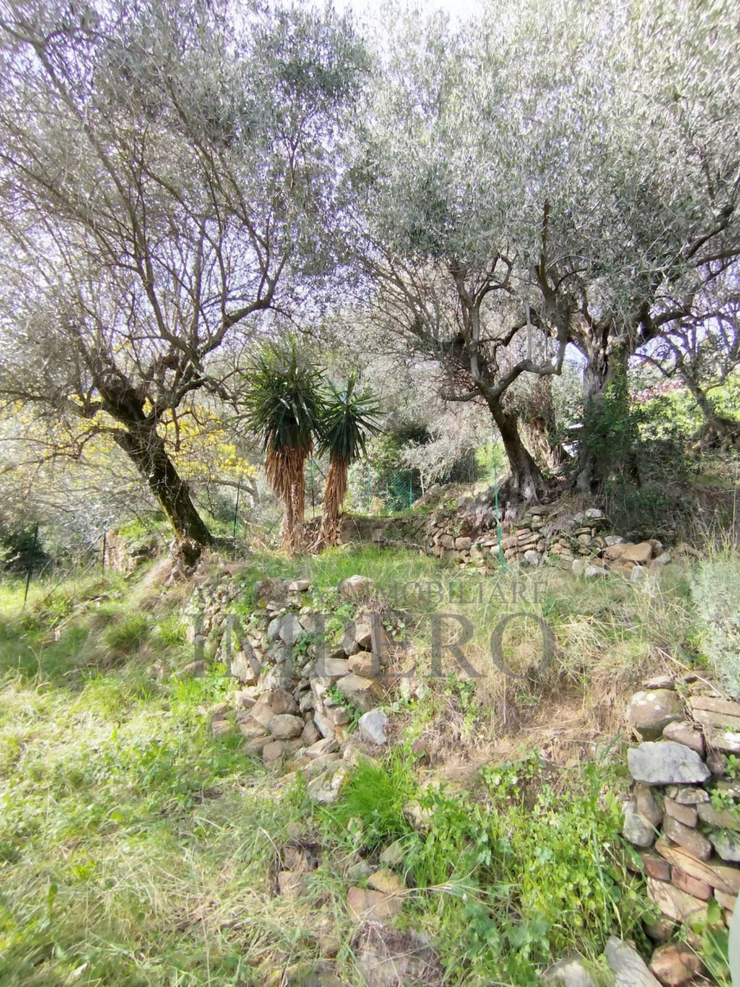 immagine annuncio 6 di 8