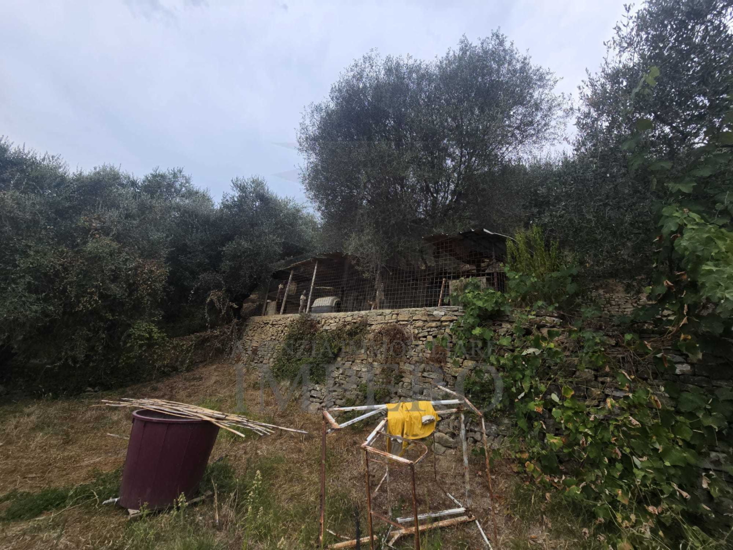 immagine annuncio 2 di 9