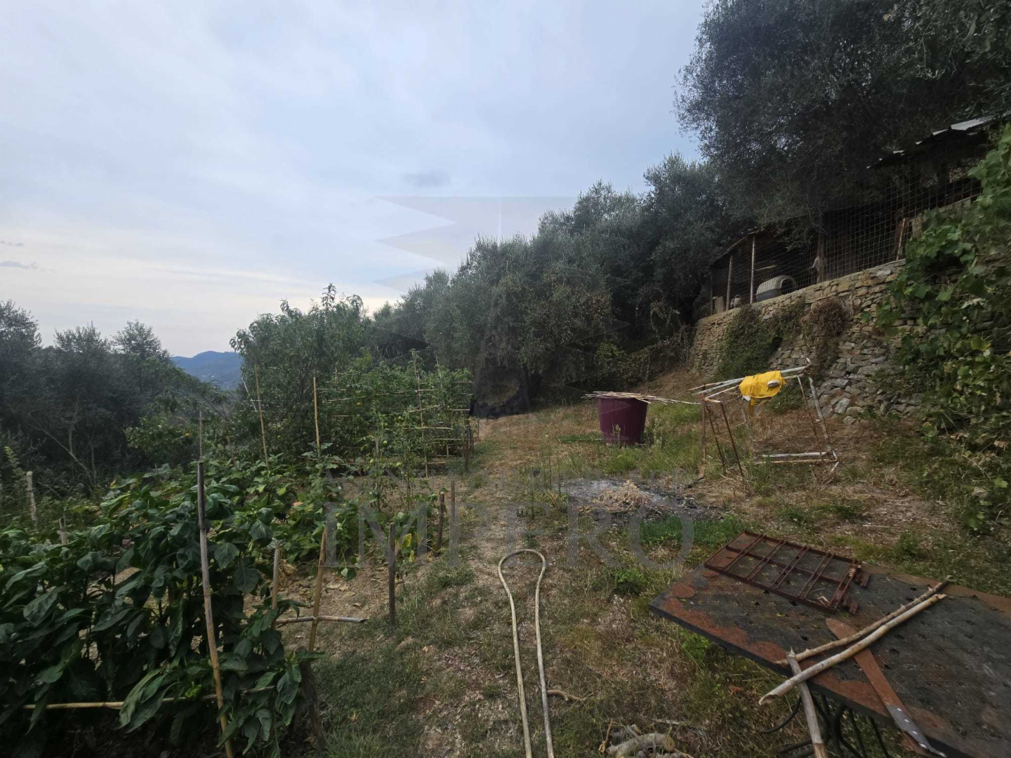 immagine annuncio 4 di 9