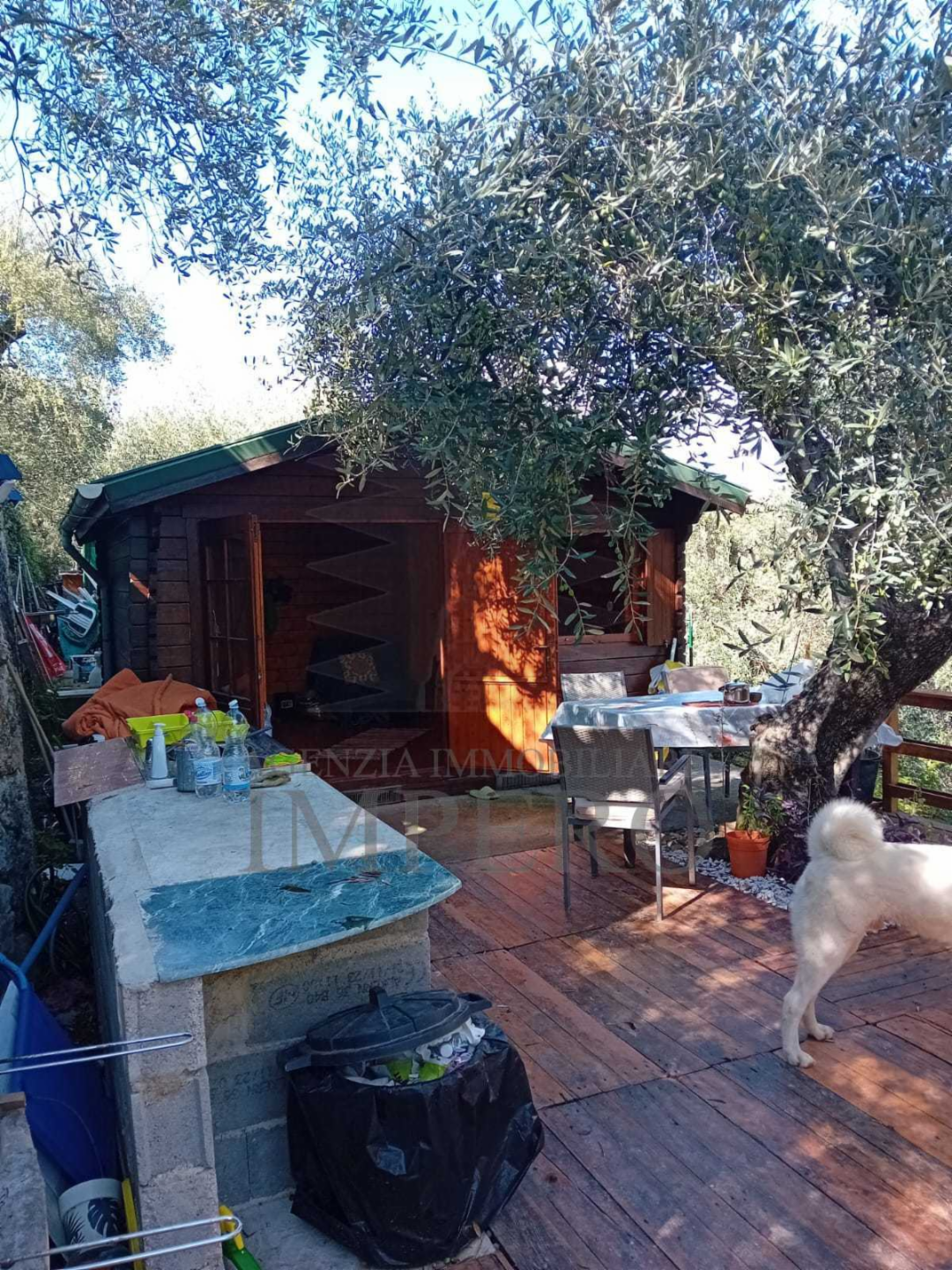 immagine annuncio 8 di 10