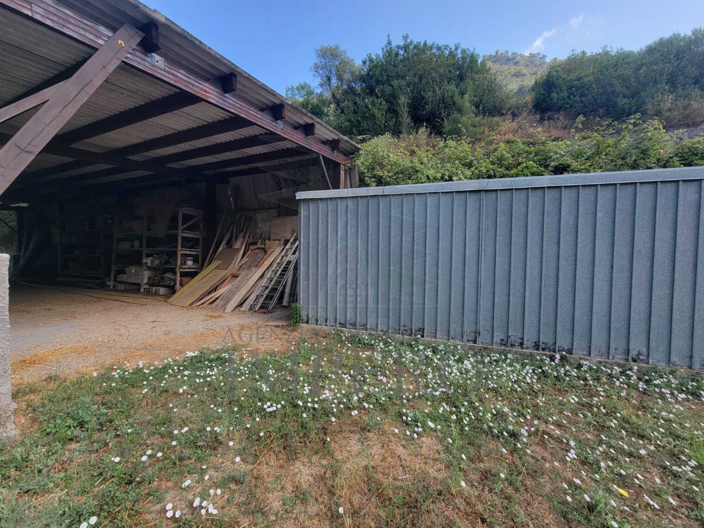 immagine annuncio 4 di 10