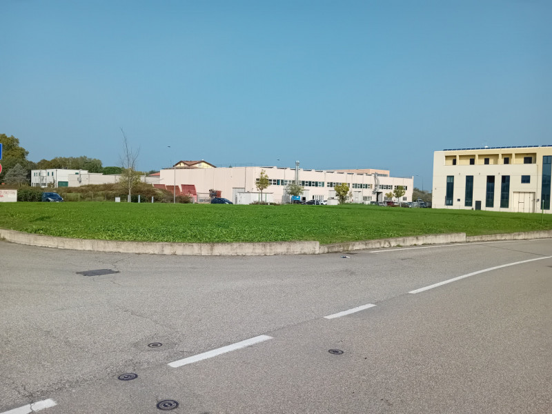 immagine annuncio 2 di 4