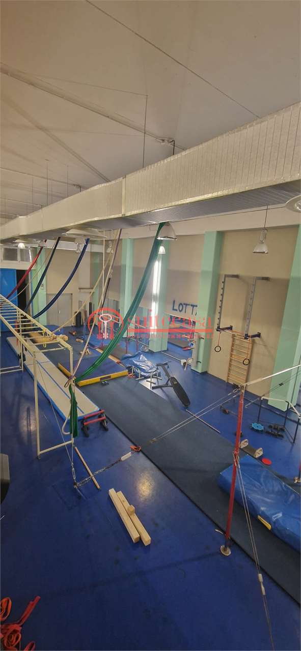 immagine annuncio 9 di 10