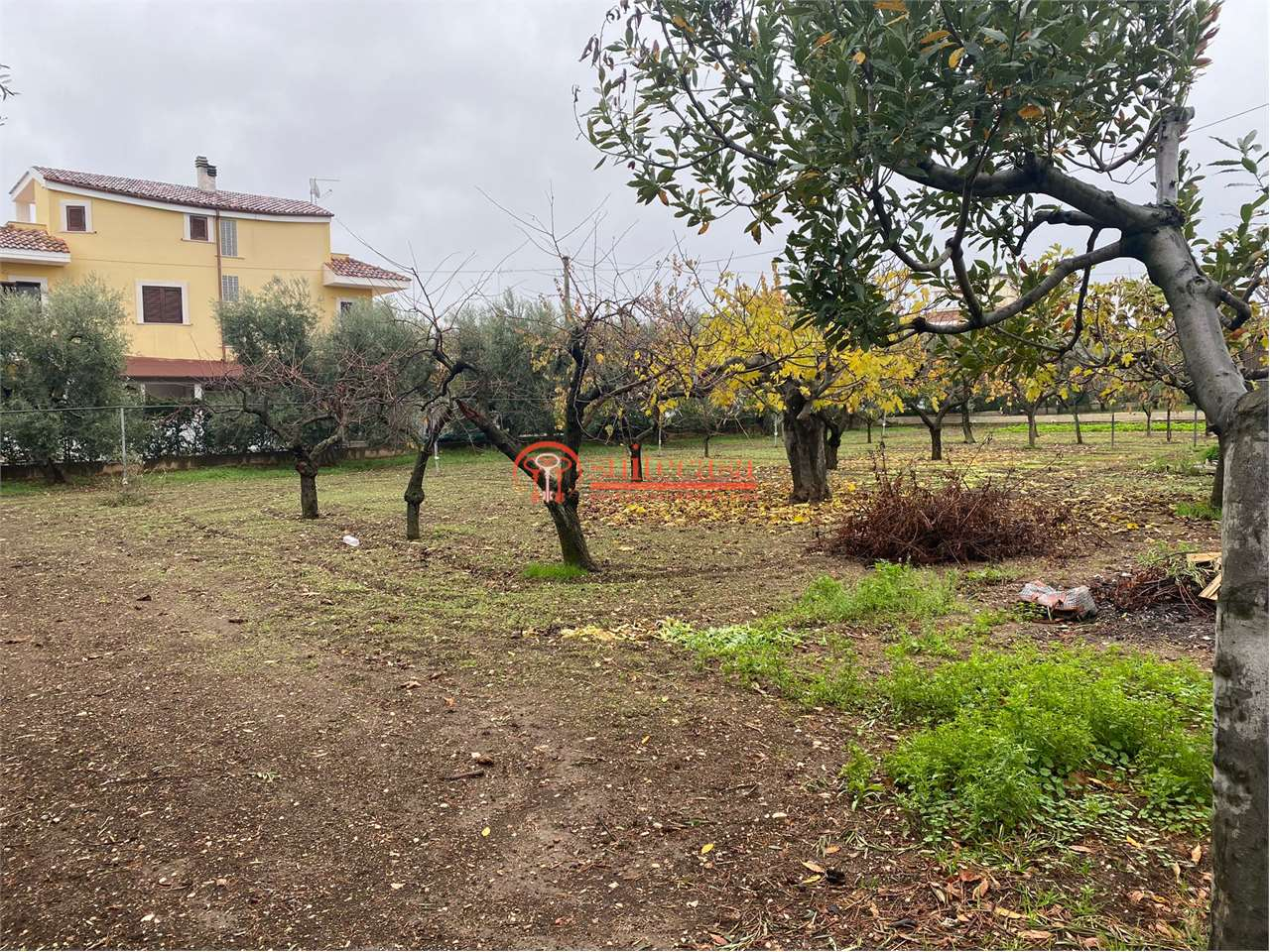 immagine annuncio 6 di 8