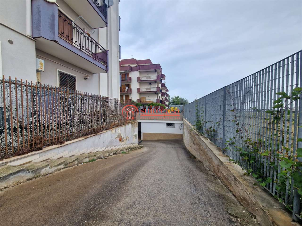 immagine annuncio 3 di 7