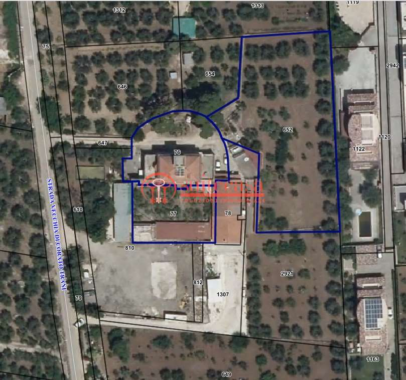 immagine annuncio 6 di 8