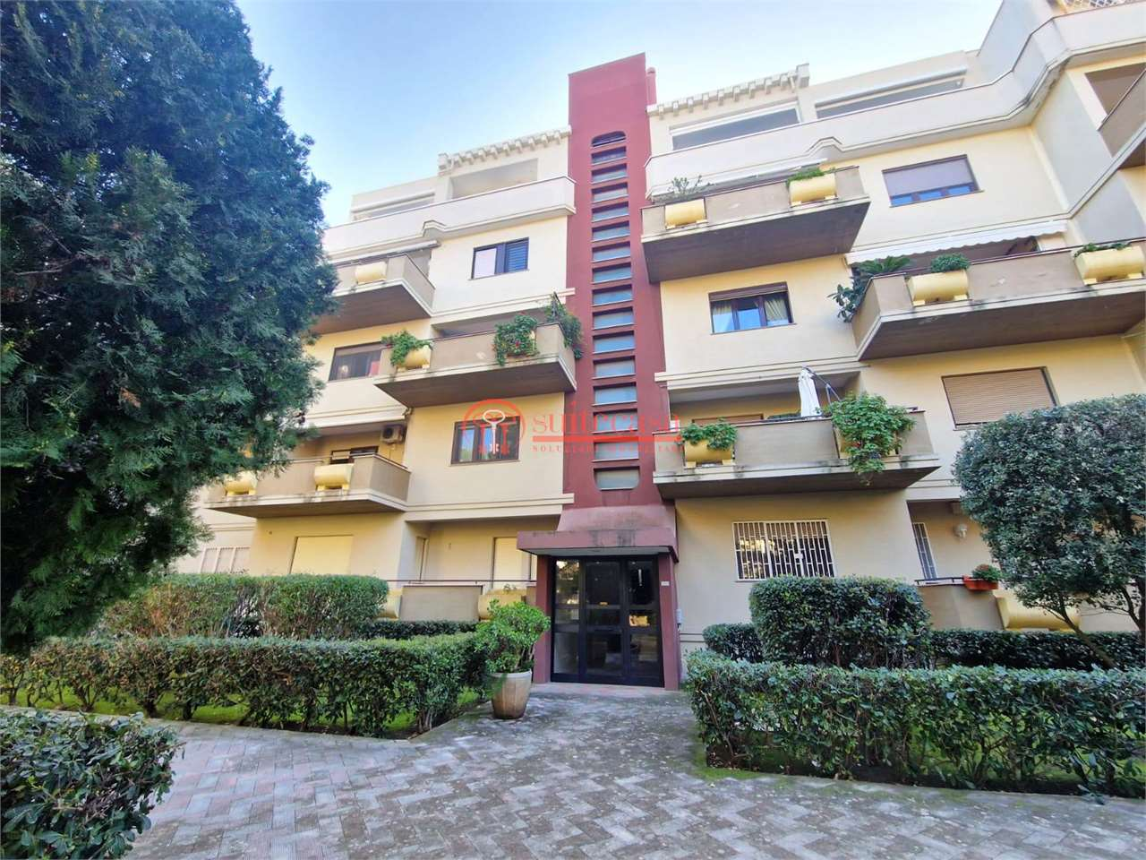 immagine annuncio 4 di 7