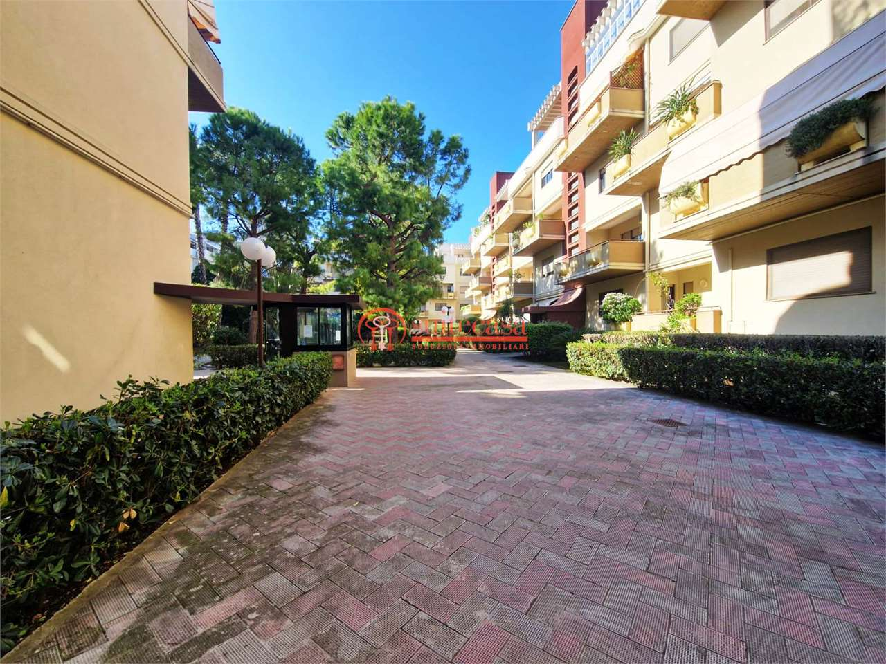 immagine annuncio 5 di 7