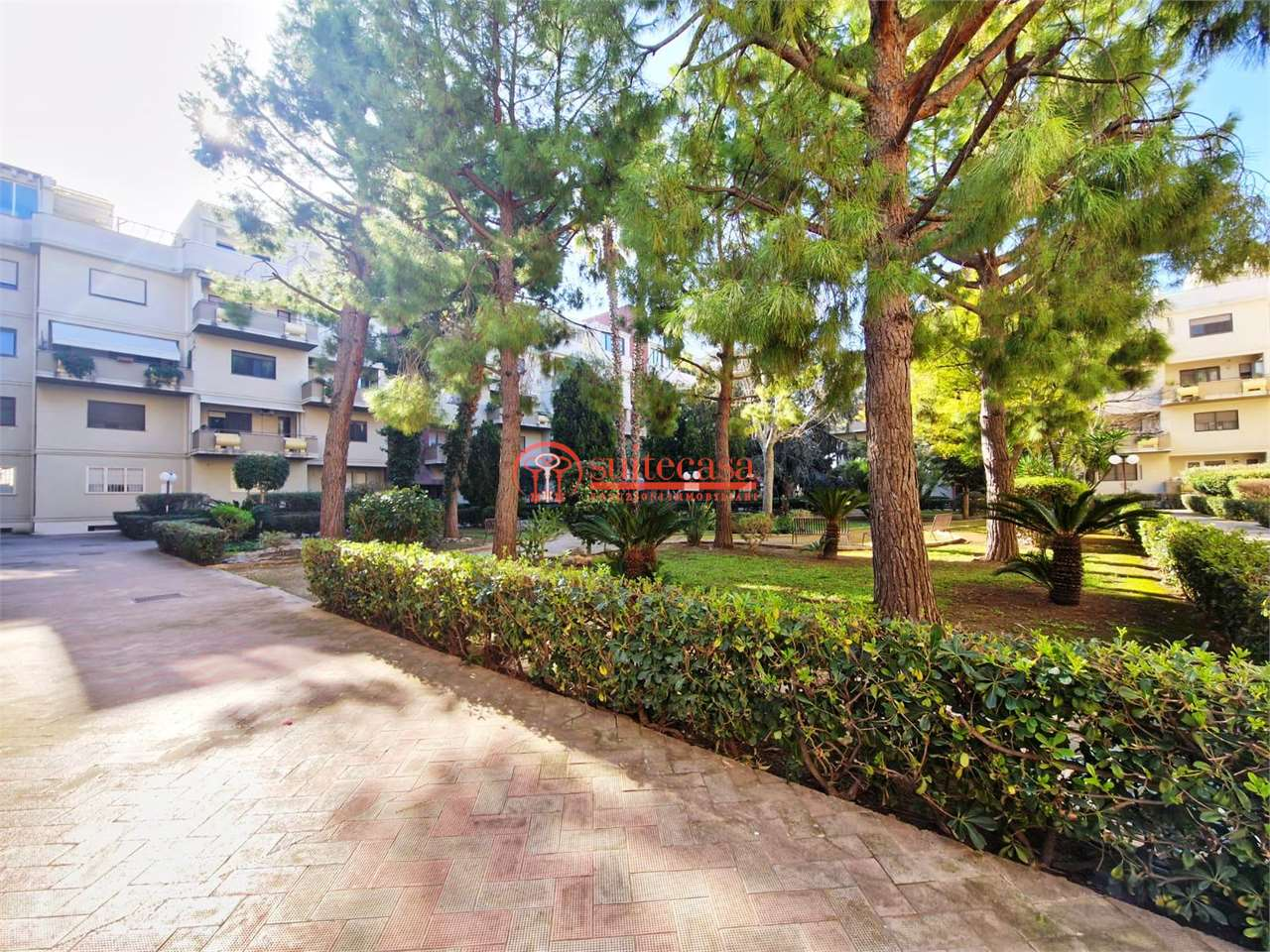 immagine annuncio 6 di 7