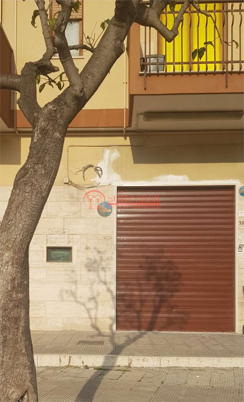 immagine annuncio 1 di 7