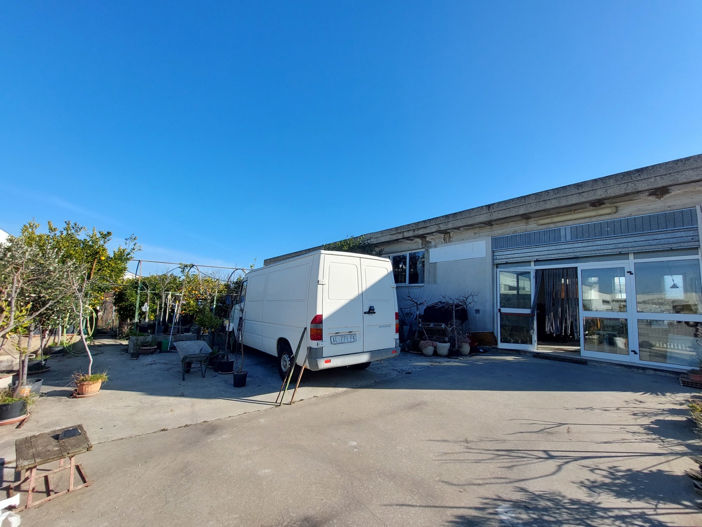 immagine annuncio 1 di 10